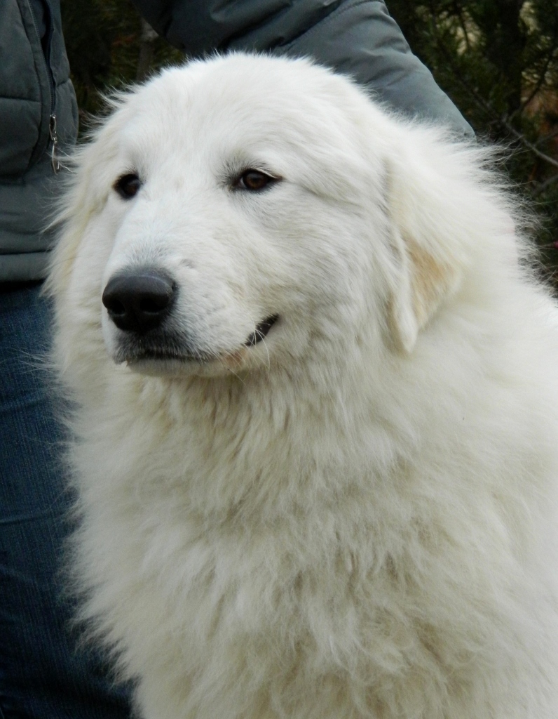 flora-b.jpg