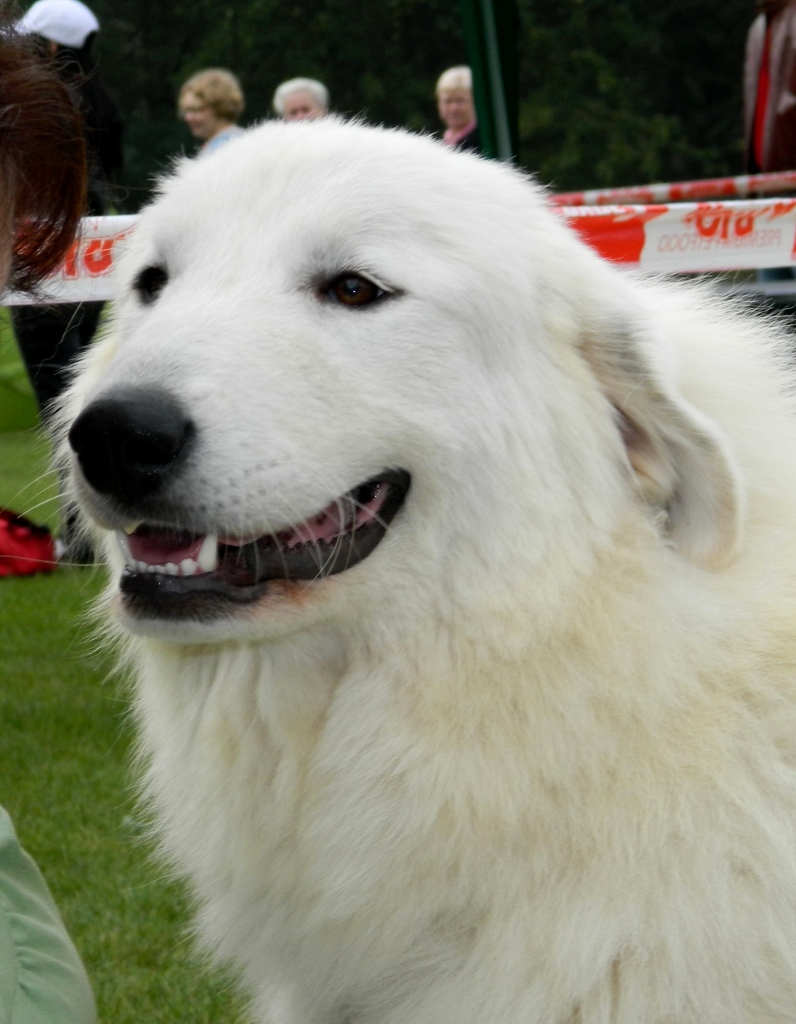 dscn7022.jpg